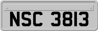 NSC3813