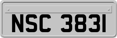 NSC3831