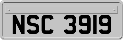 NSC3919