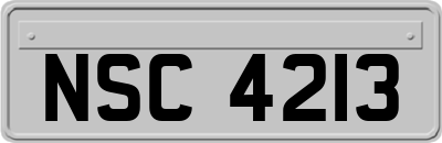 NSC4213