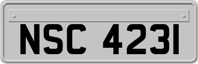 NSC4231