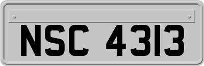 NSC4313