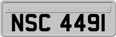 NSC4491