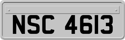 NSC4613