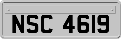 NSC4619