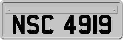 NSC4919