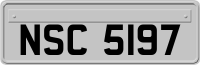 NSC5197