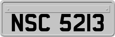 NSC5213