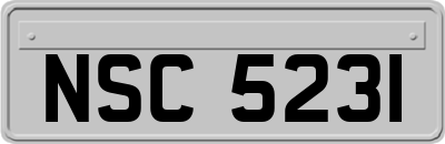 NSC5231