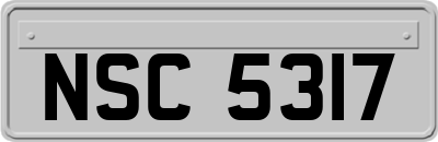 NSC5317