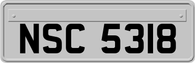 NSC5318