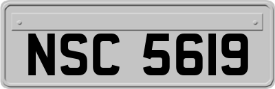 NSC5619