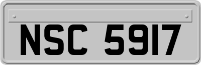 NSC5917