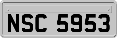 NSC5953