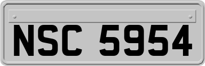 NSC5954