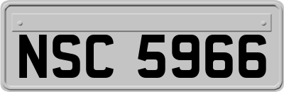 NSC5966