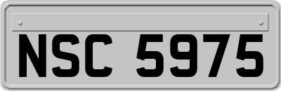 NSC5975