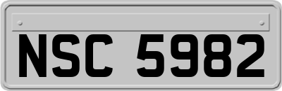 NSC5982