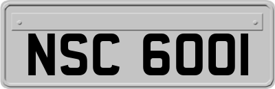 NSC6001