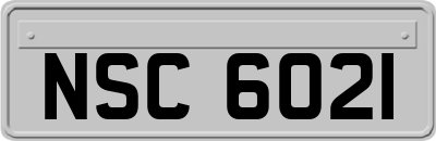 NSC6021