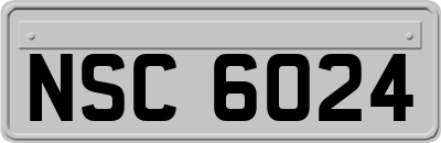 NSC6024