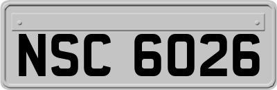 NSC6026