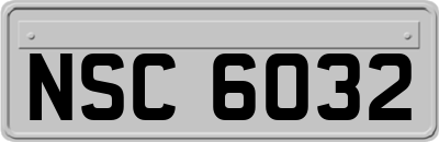 NSC6032