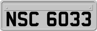 NSC6033