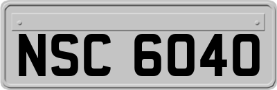 NSC6040