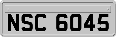 NSC6045