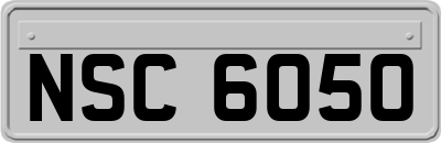 NSC6050