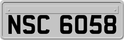 NSC6058