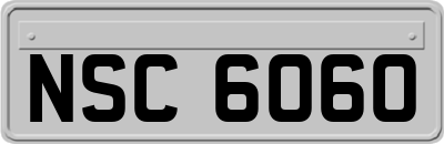 NSC6060