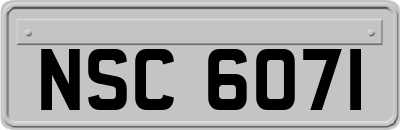 NSC6071