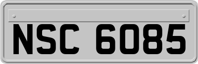 NSC6085