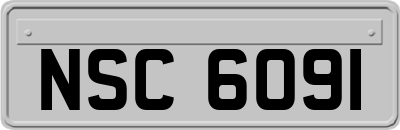 NSC6091