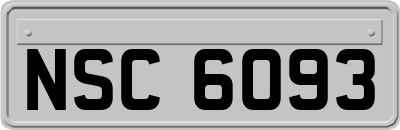 NSC6093