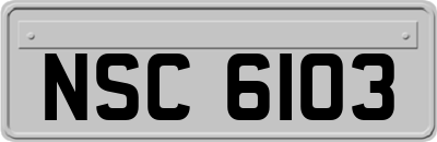 NSC6103