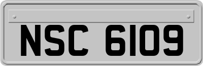 NSC6109