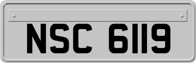 NSC6119