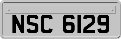 NSC6129