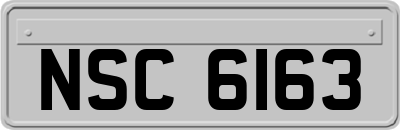 NSC6163