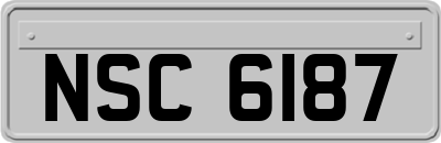 NSC6187