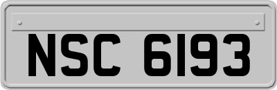 NSC6193