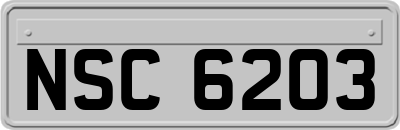 NSC6203