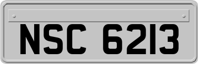 NSC6213