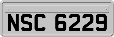 NSC6229