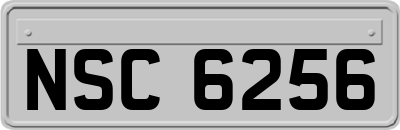 NSC6256