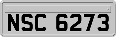 NSC6273