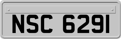 NSC6291